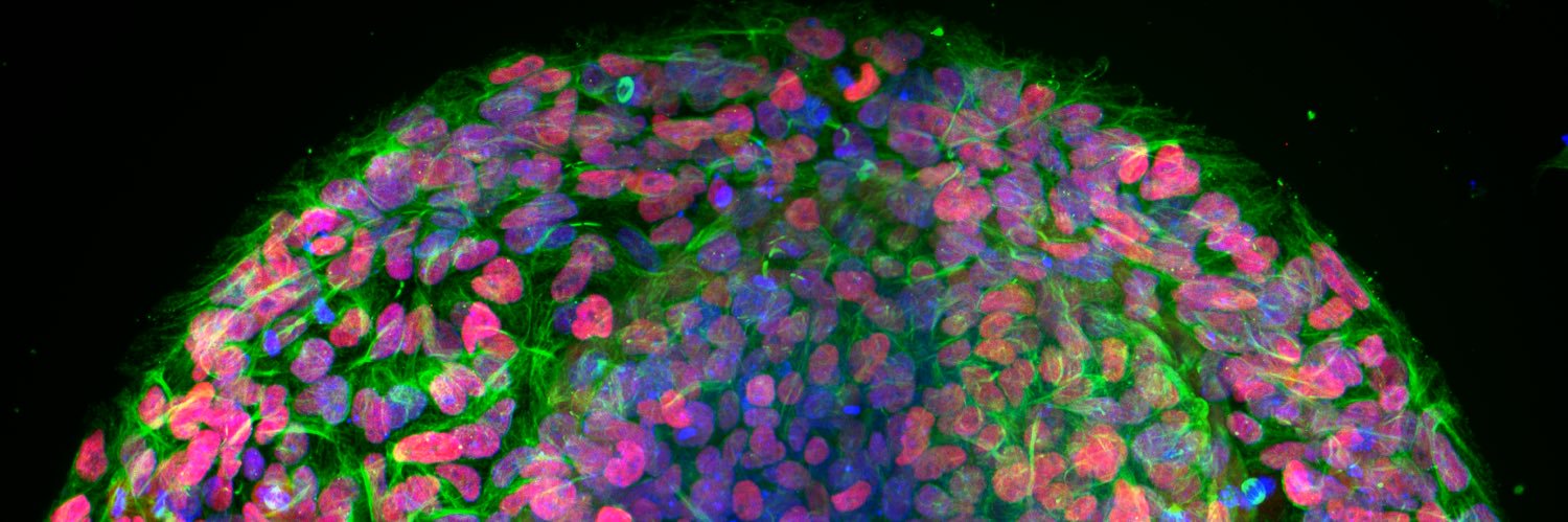 🧫🔬Miguel Angel Ortiz 🤓🥼 banner