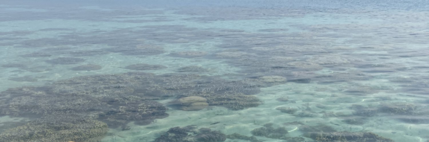 fikalong's profile banner image