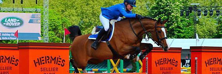 Oakingham Stud banner