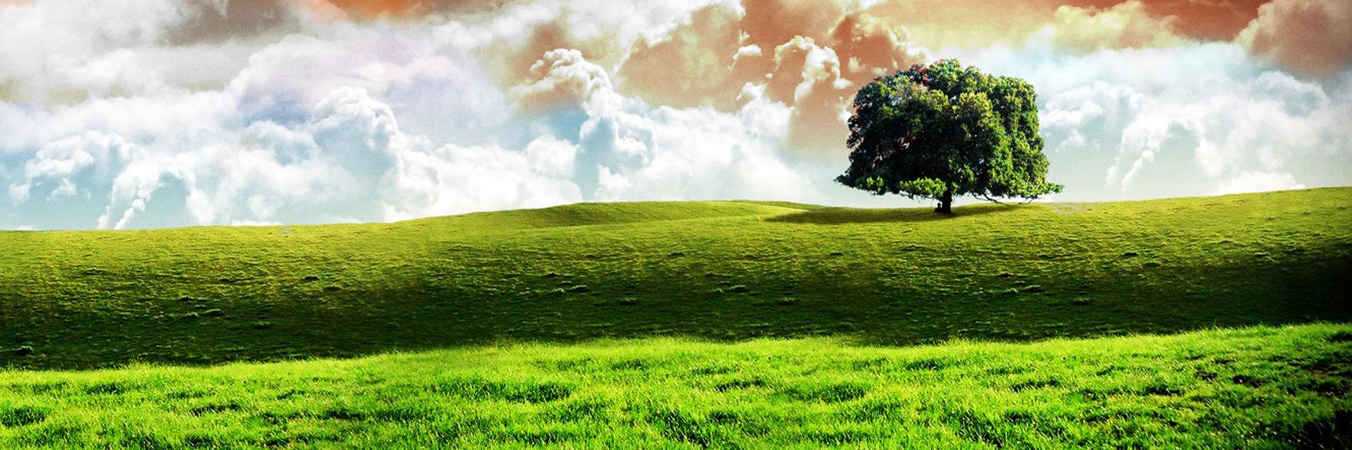 IndiaAnalyst's profile banner image