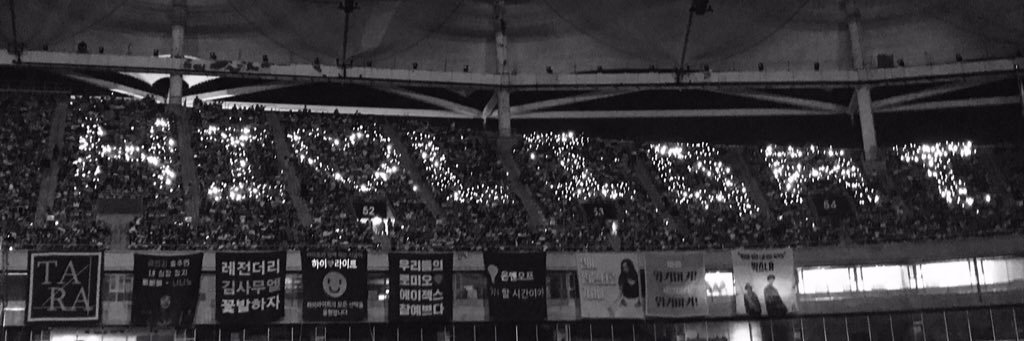 fibilui916's profile banner image