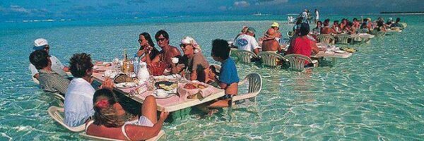 harrisioni Profile Banner