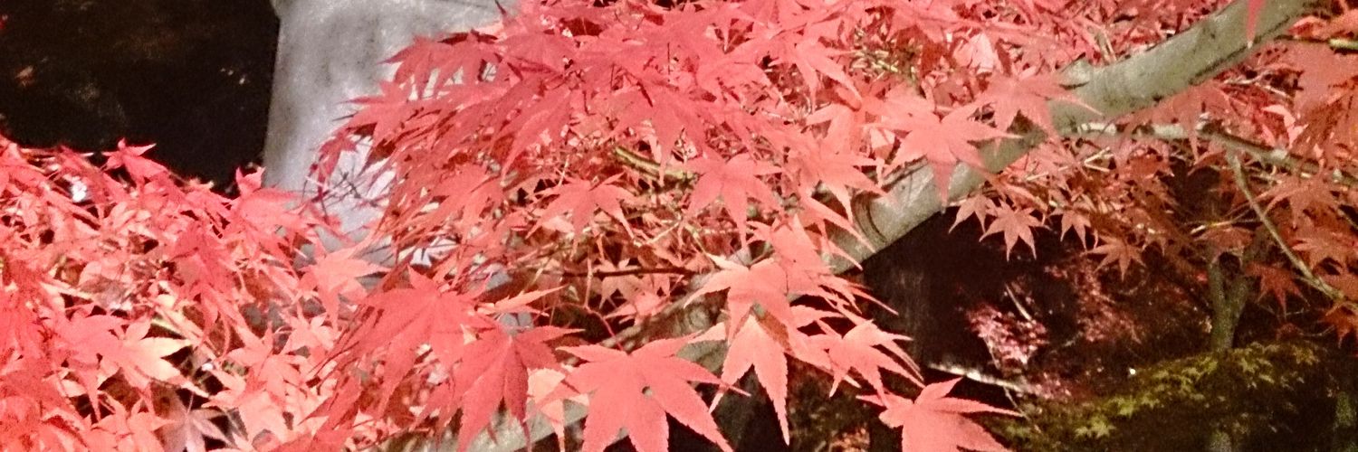y_sekiya's profile banner image