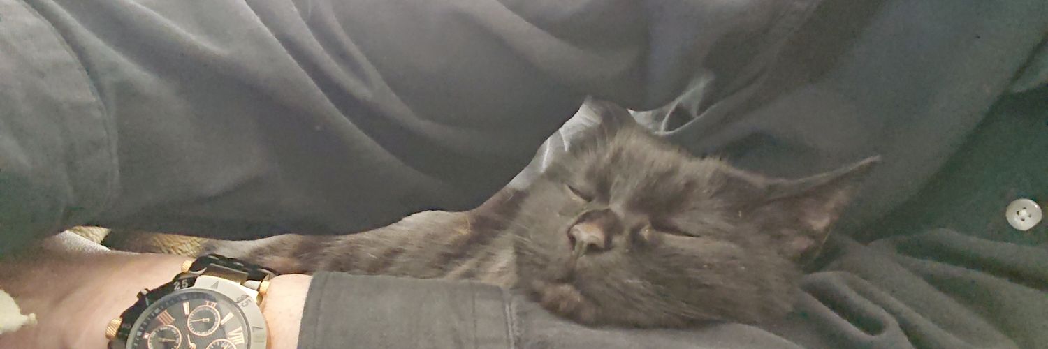 typ1's profile banner image