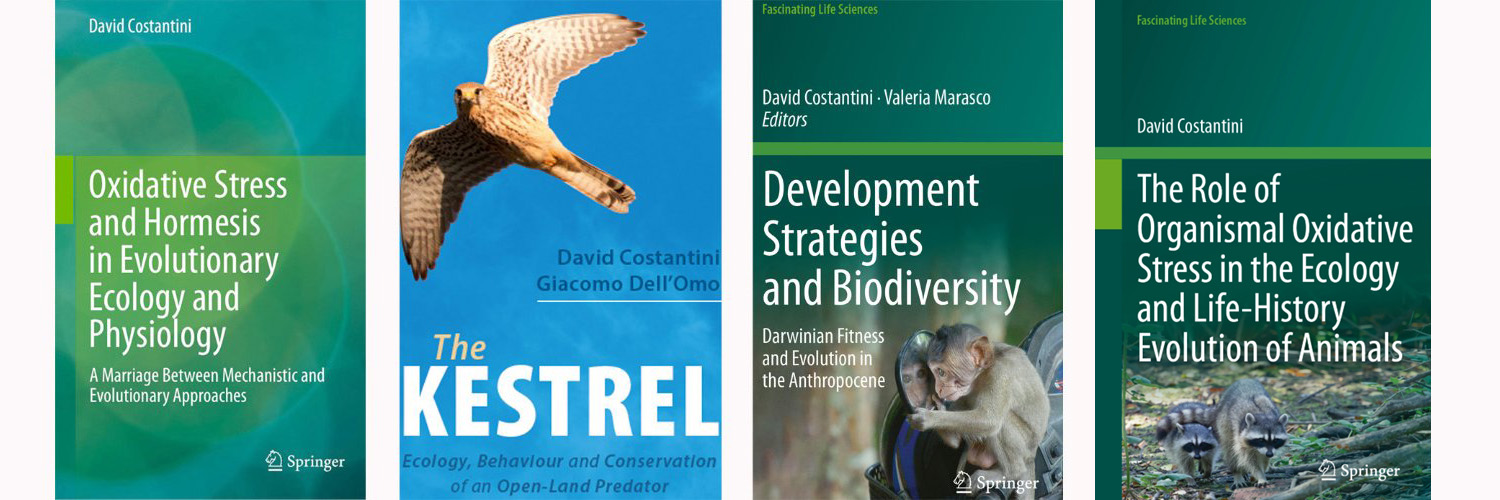 David Costantini banner