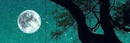 fatma_basmaya's profile banner image
