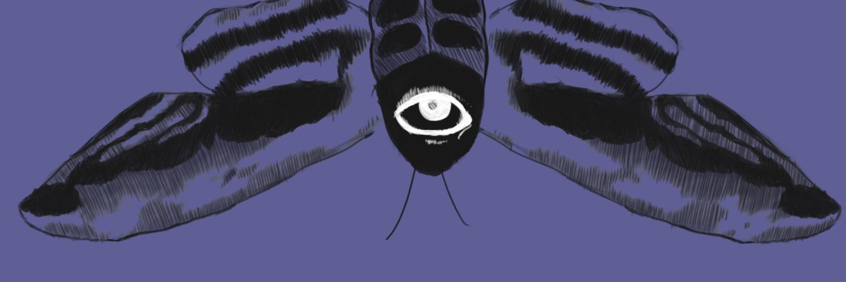 3rdWingFirefly's profile banner image