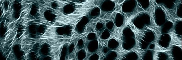 Cat 🇸🇪🏴‍☠️🇺🇦 banner