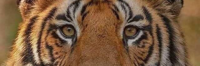 Kennethefe_ije's profile banner image