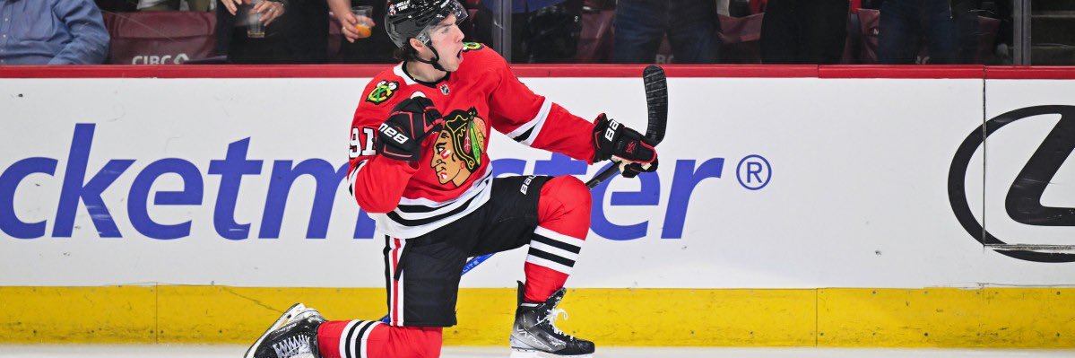 Occasionally Delusional Hawks Fan banner