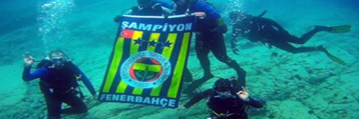 TC_Alp-CanLefter 🏆🏆🏀 banner