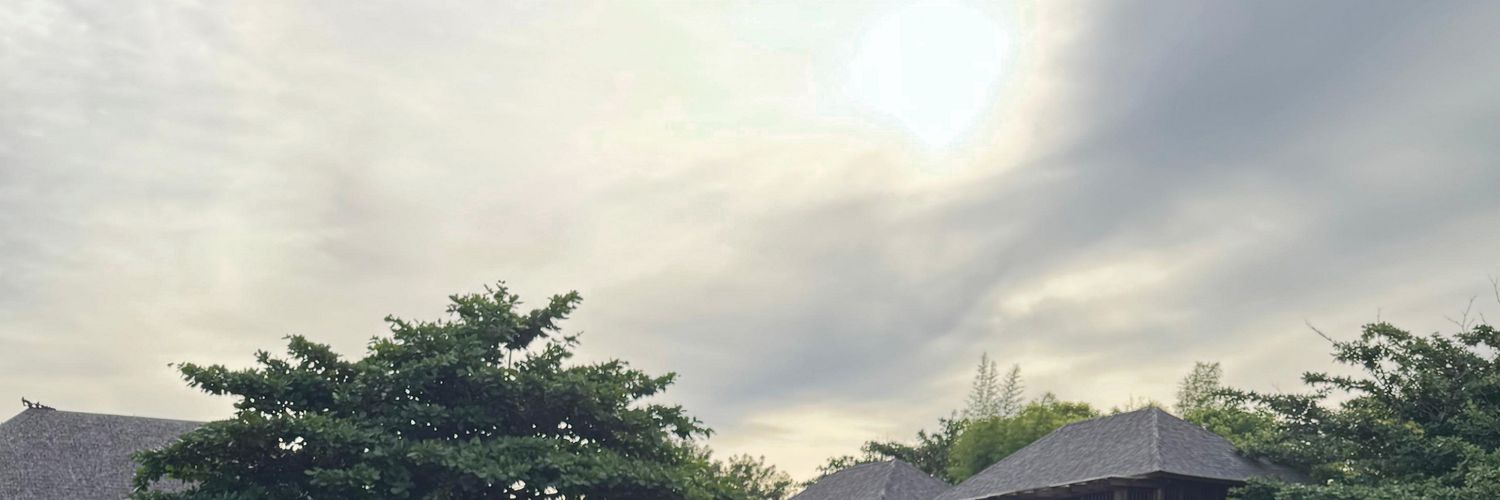 lusy banner