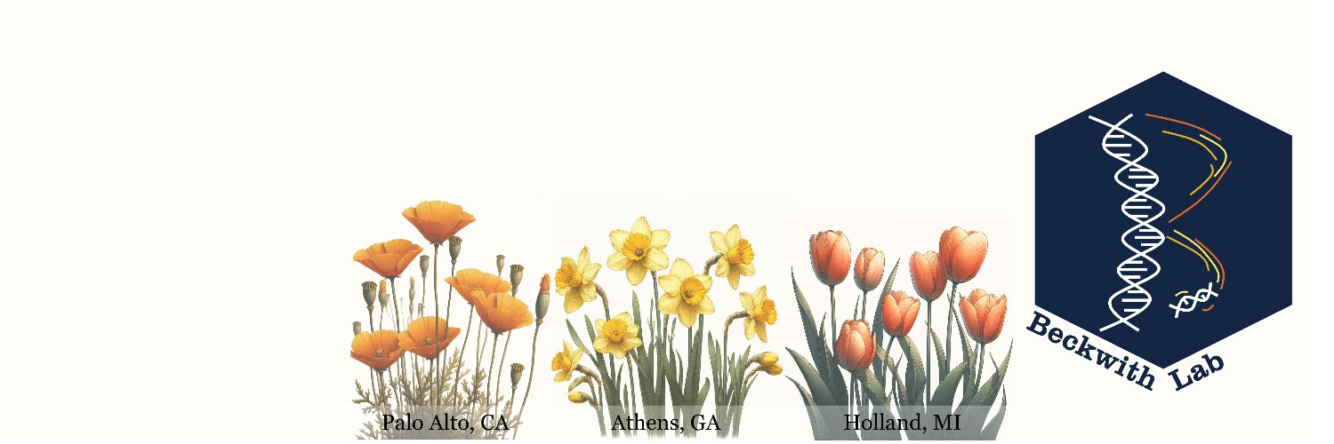 Sean Beckwith banner