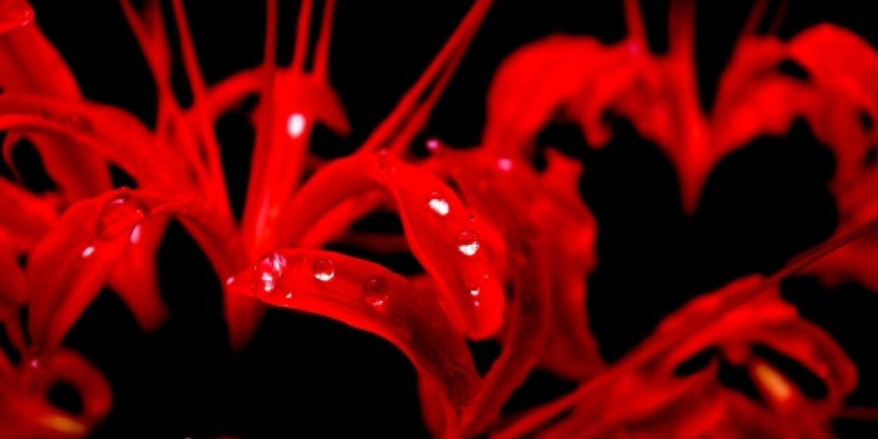 h_key01's profile banner image
