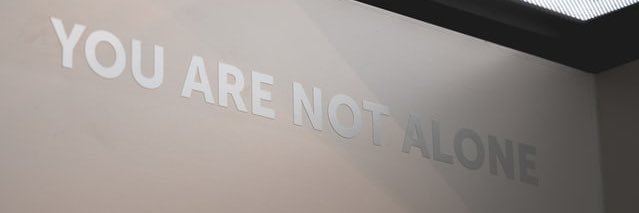 Lynne Cole banner