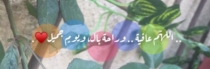 LSq1313's profile banner image