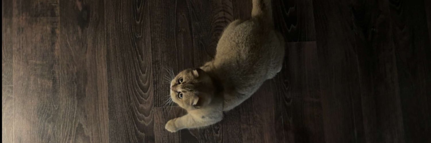₅ banner