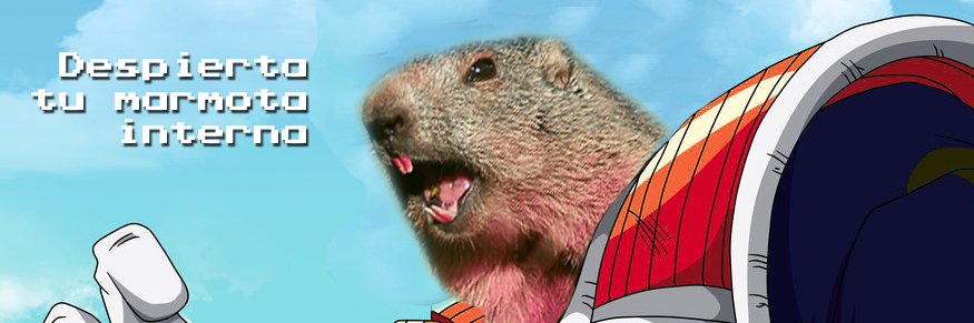 cdmarmotas's profile banner image