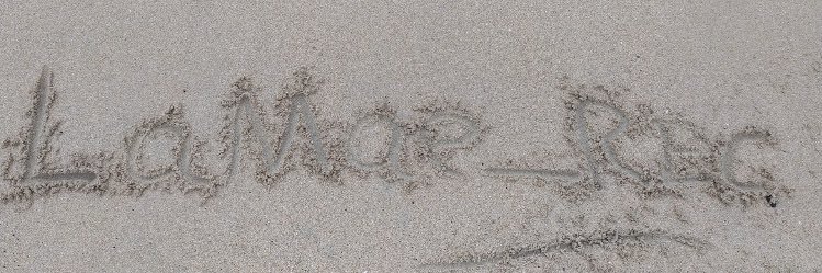 gz_maddy's profile banner image