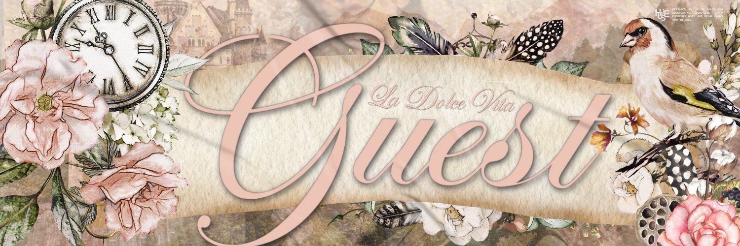 ✧₊⁺ 𝐆𝐔𝐄𝐒𝐓 ˖ Serah ˎˊ˗ banner