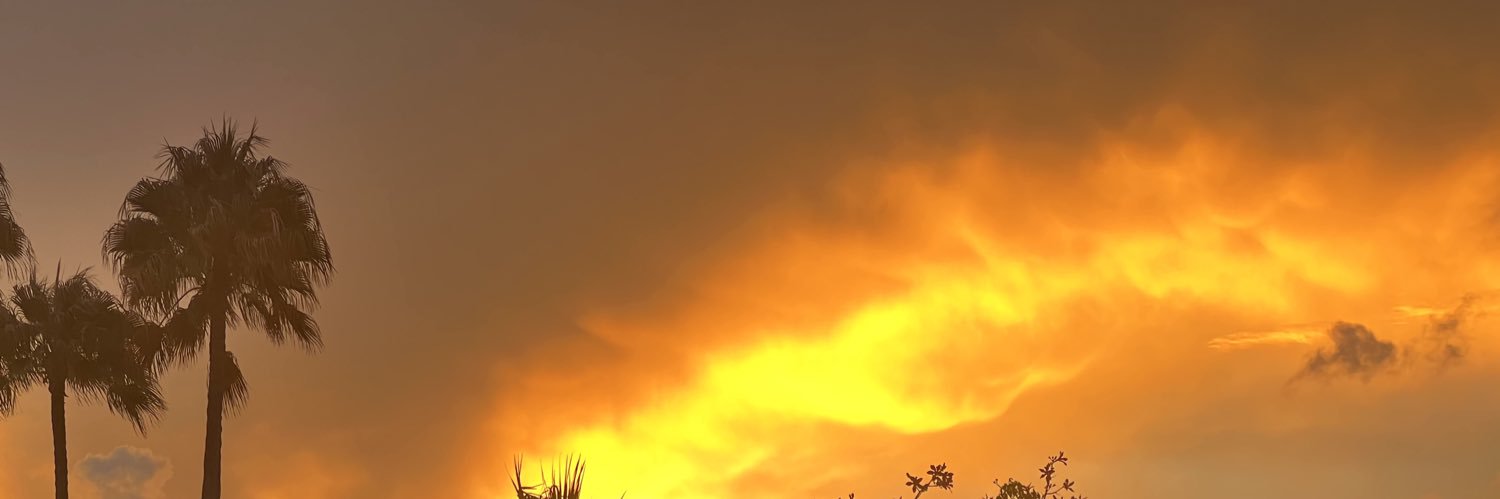 𝕟𝕚𝕪𝕒♡︎ banner