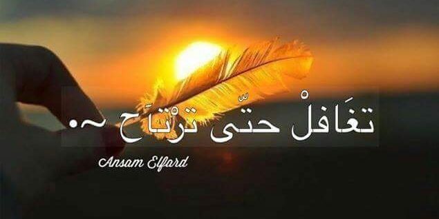 mohamedtabella's profile banner image