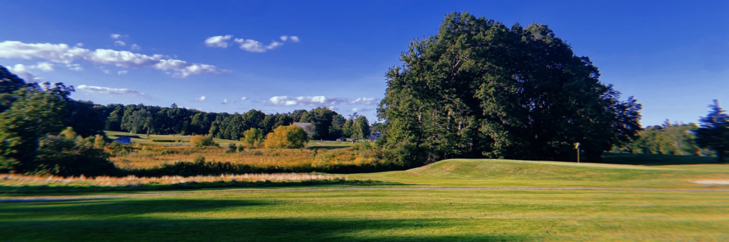 Bishop Feehan Girls Golf banner