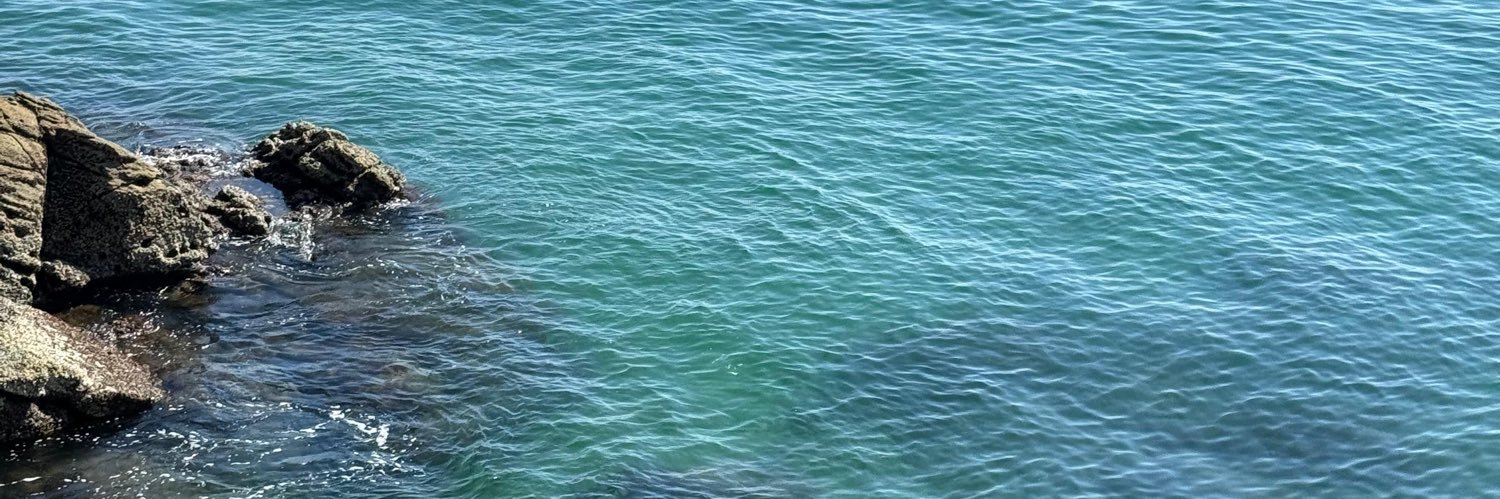 gaadiiiii's profile banner image