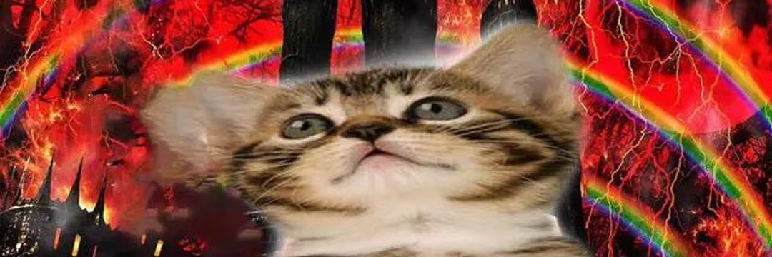 femboyenjoyerrr banner