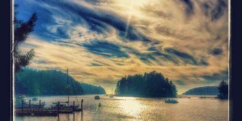 gcmvan's profile banner image