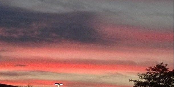 SoCal_Campaign's profile banner image