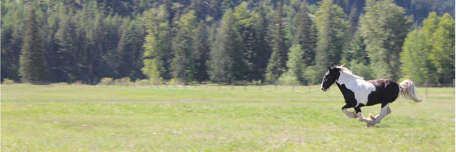 Marie Bennett banner