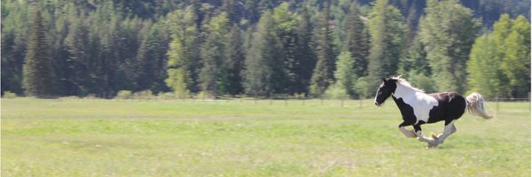 Marie_Bennett Profile Banner