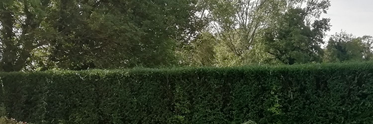 colmsenanryan's profile banner image