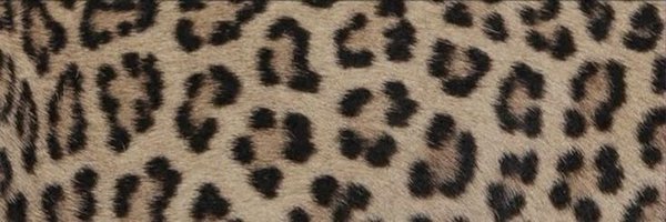 flxme_princess Profile Banner