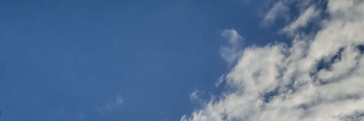 Vicky_Orellano's profile banner image