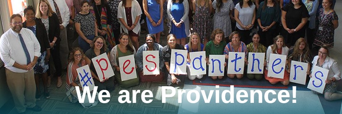 Providence Panthers banner