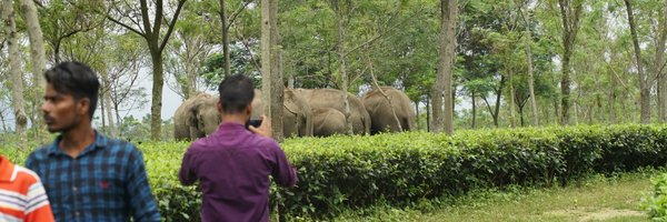 CoexConsortium Profile Banner