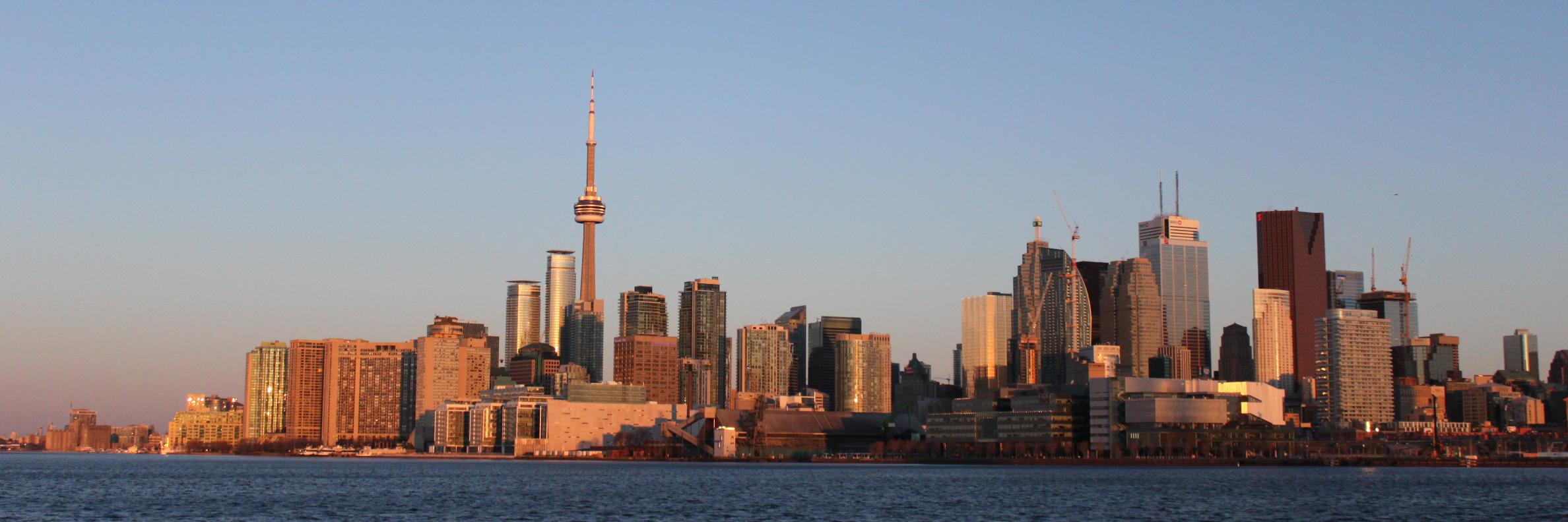 Mike Ledermueller banner