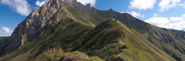 JeanMathiasJoly Profile Banner