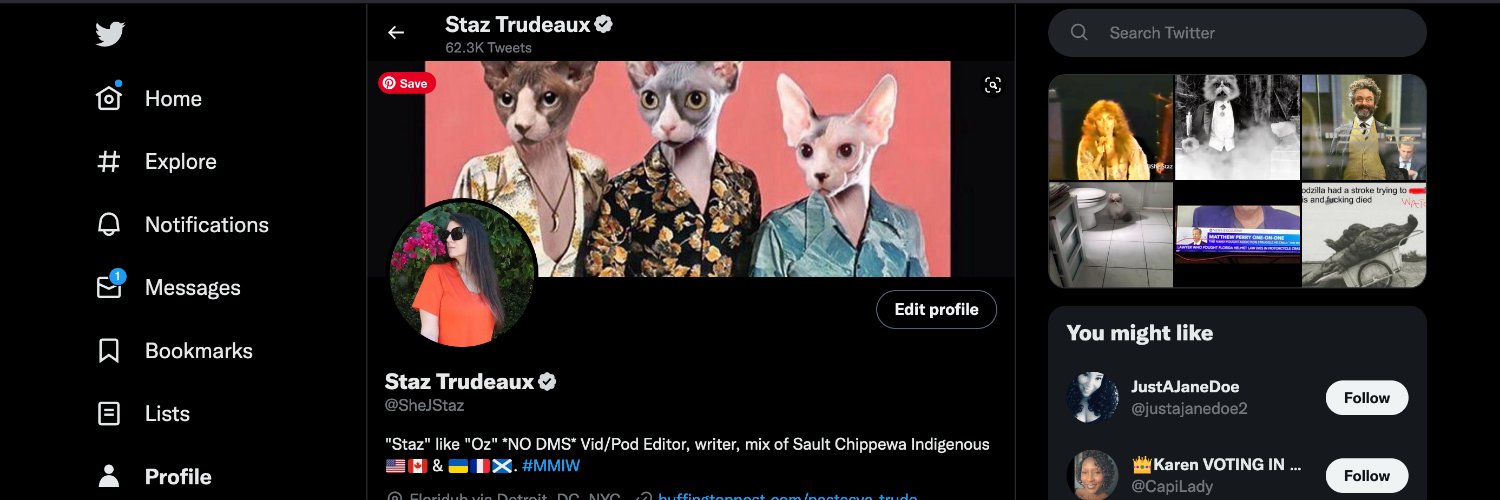 Staz Trudeaux banner