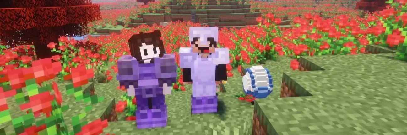 roxavermelho's profile banner image