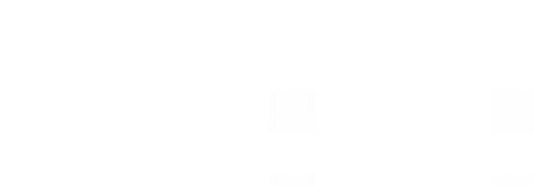 ______ banner