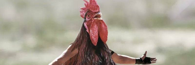 Lobister fan only 🪭 banner