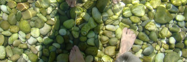 kbucek Profile Banner