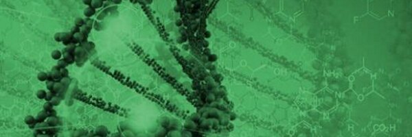 pfern Profile Banner