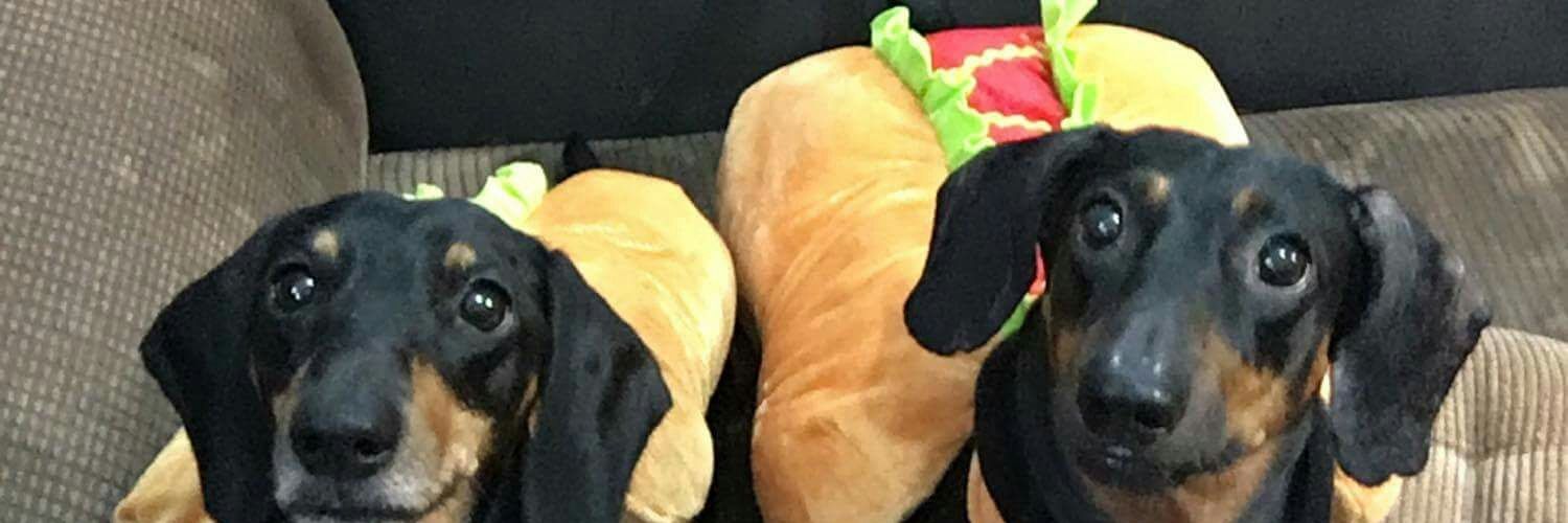 thirdylopez03's profile banner image