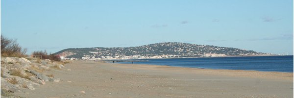 icft2023 Profile Banner