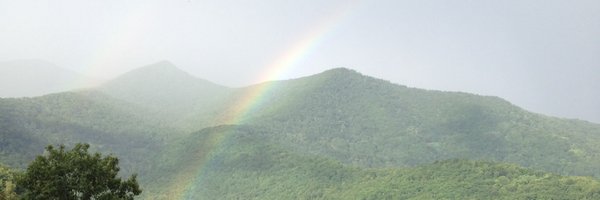 LizzHarwell Profile Banner