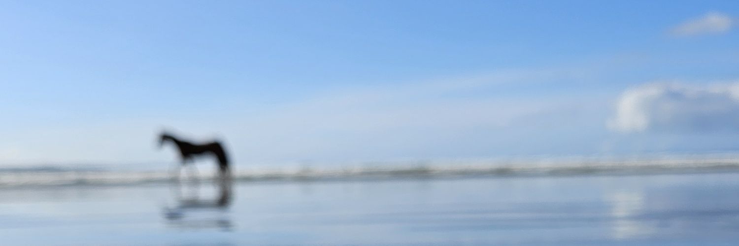 kandaleto's profile banner image